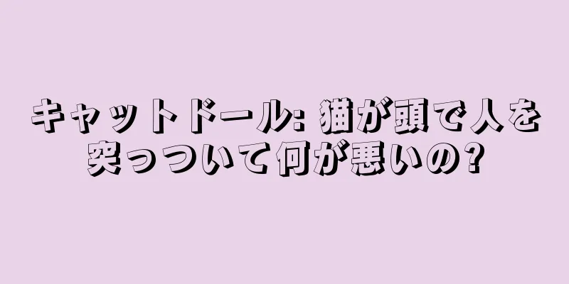 キャットドール: 猫が頭で人を突っついて何が悪いの?