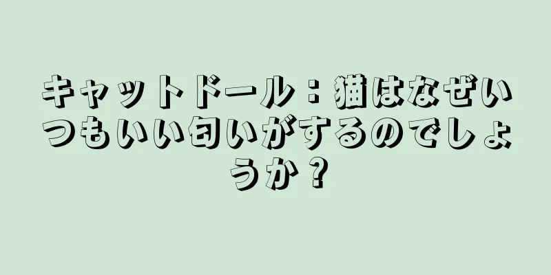 キャットドール：猫はなぜいつもいい匂いがするのでしょうか？