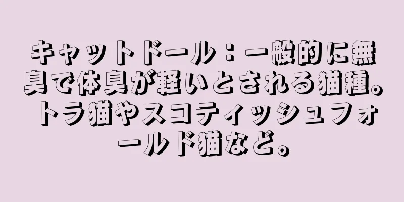 キャットドール：一般的に無臭で体臭が軽いとされる猫種。トラ猫やスコティッシュフォールド猫など。
