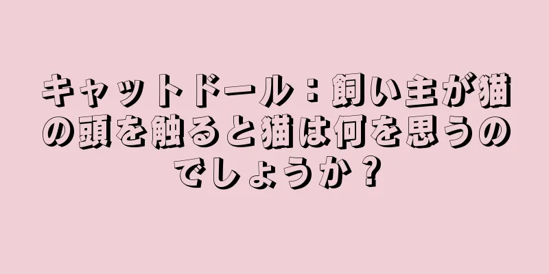 キャットドール：飼い主が猫の頭を触ると猫は何を思うのでしょうか？