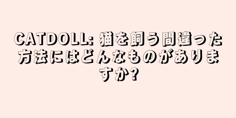 CATDOLL: 猫を飼う間違った方法にはどんなものがありますか?