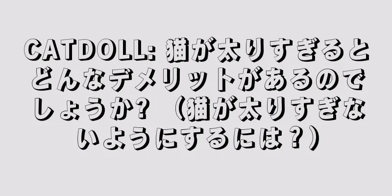 CATDOLL: 猫が太りすぎるとどんなデメリットがあるのでしょうか? （猫が太りすぎないようにするには？）