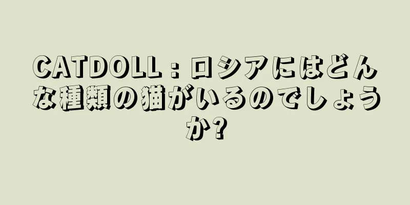 CATDOLL : ロシアにはどんな種類の猫がいるのでしょうか?