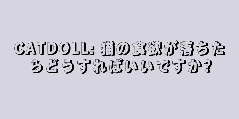 CATDOLL: 猫の食欲が落ちたらどうすればいいですか?