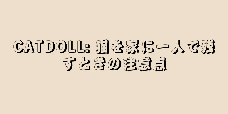 CATDOLL: 猫を家に一人で残すときの注意点