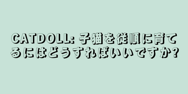 CATDOLL: 子猫を従順に育てるにはどうすればいいですか?