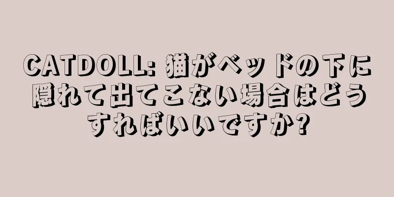 CATDOLL: 猫がベッドの下に隠れて出てこない場合はどうすればいいですか?