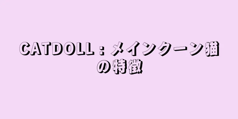 CATDOLL : メインクーン猫の特徴