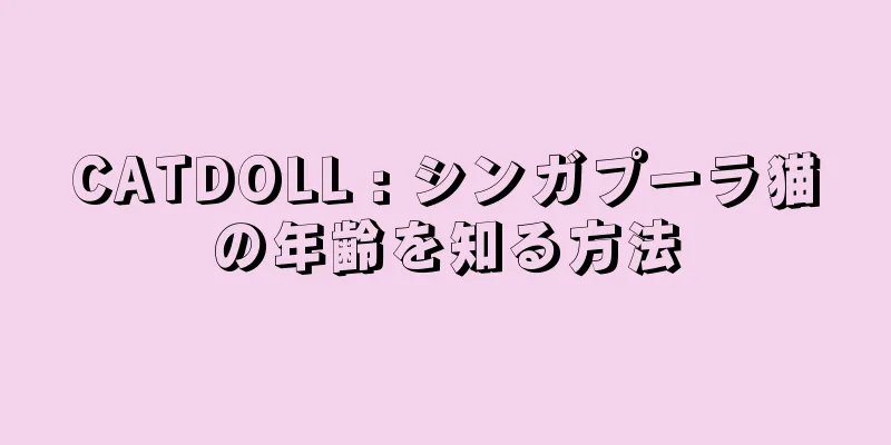 CATDOLL : シンガプーラ猫の年齢を知る方法
