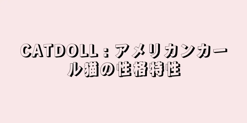 CATDOLL : アメリカンカール猫の性格特性