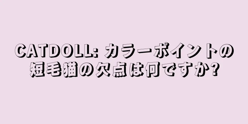 CATDOLL: カラーポイントの短毛猫の欠点は何ですか?