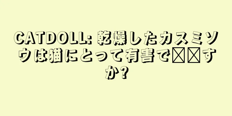 CATDOLL: 乾燥したカスミソウは猫にとって有害で​​すか?