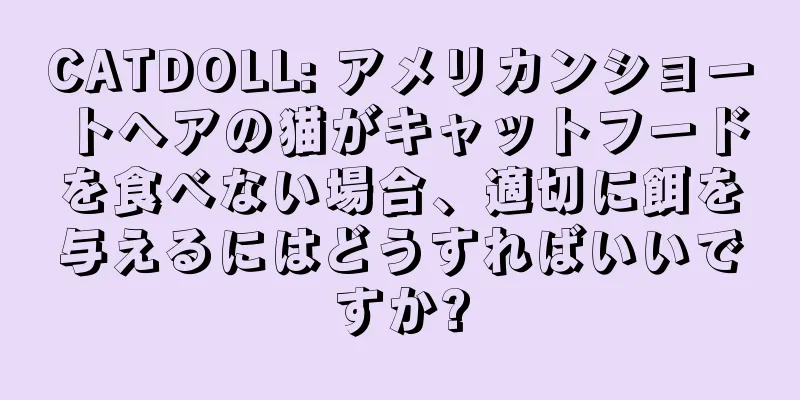 CATDOLL: アメリカンショートヘアの猫がキャットフードを食べない場合、適切に餌を与えるにはどうすればいいですか?