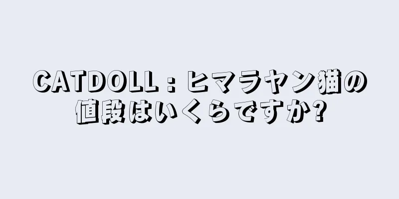 CATDOLL : ヒマラヤン猫の値段はいくらですか?