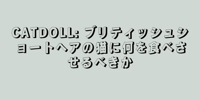 CATDOLL: ブリティッシュショートヘアの猫に何を食べさせるべきか