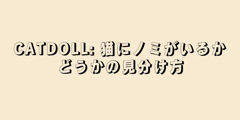 CATDOLL: 猫にノミがいるかどうかの見分け方