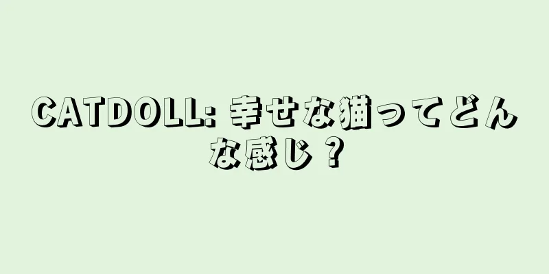 CATDOLL: 幸せな猫ってどんな感じ？