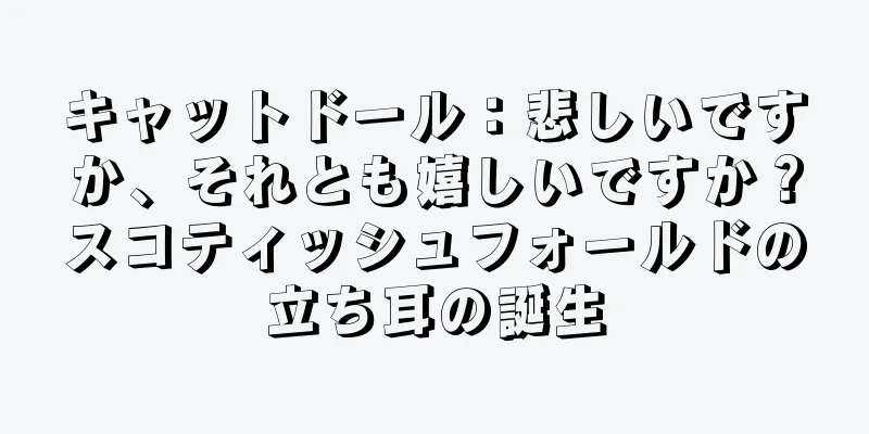 キャットドール：悲しいですか、それとも嬉しいですか？スコティッシュフォールドの立ち耳の誕生
