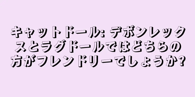キャットドール: デボンレックスとラグドールではどちらの方がフレンドリーでしょうか?