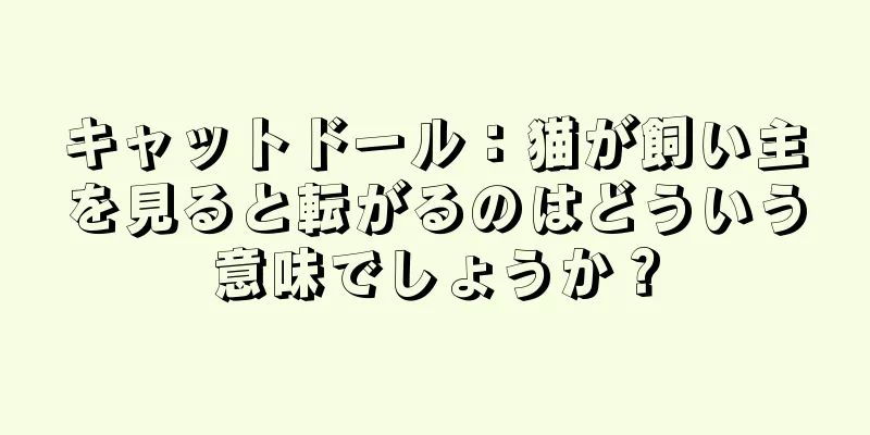 キャットドール：猫が飼い主を見ると転がるのはどういう意味でしょうか？