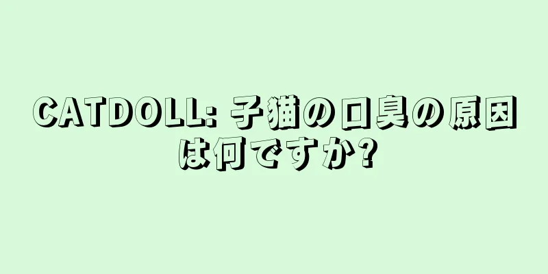 CATDOLL: 子猫の口臭の原因は何ですか?