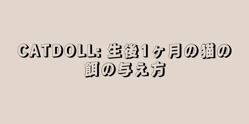 CATDOLL: 生後1ヶ月の猫の餌の与え方