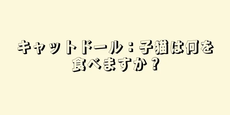 キャットドール：子猫は何を食べますか？