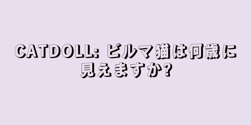 CATDOLL: ビルマ猫は何歳に見えますか?