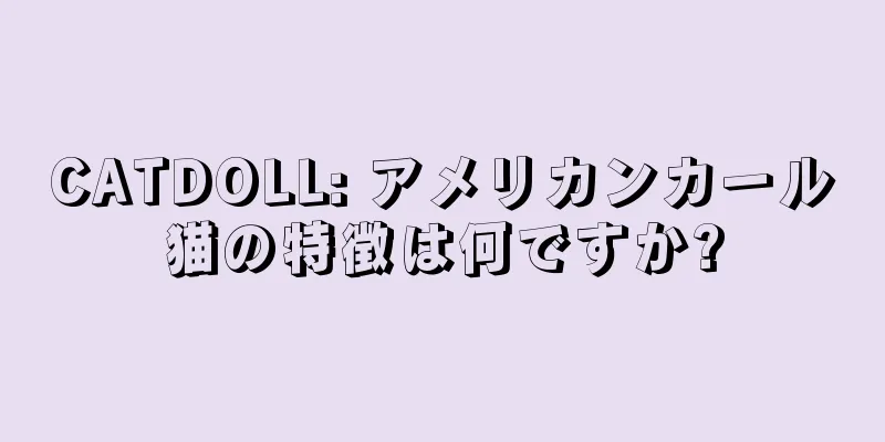 CATDOLL: アメリカンカール猫の特徴は何ですか?