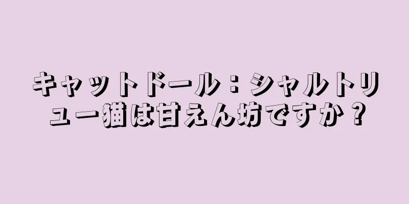 キャットドール：シャルトリュー猫は甘えん坊ですか？