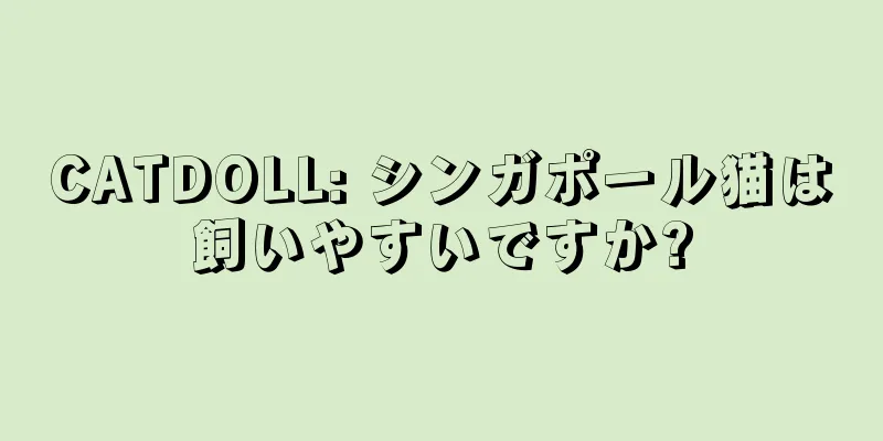 CATDOLL: シンガポール猫は飼いやすいですか?