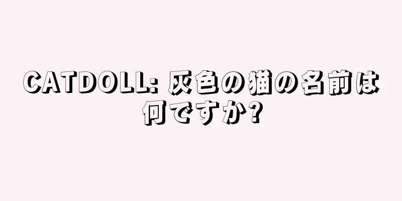 CATDOLL: 灰色の猫の名前は何ですか?
