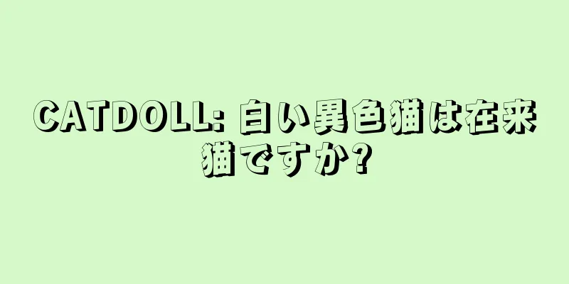 CATDOLL: 白い異色猫は在来猫ですか?