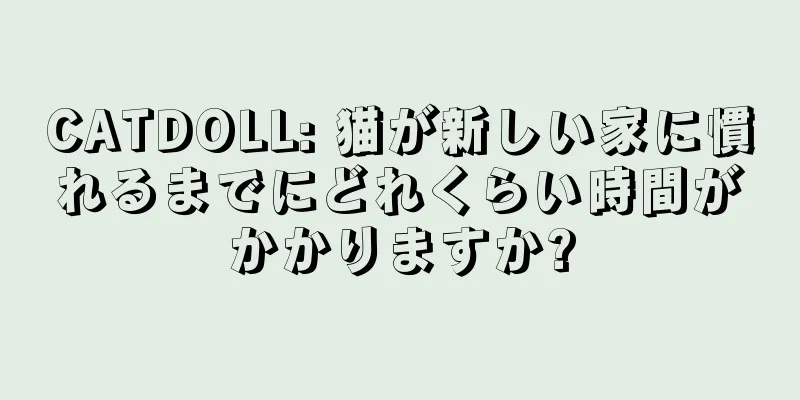 CATDOLL: 猫が新しい家に慣れるまでにどれくらい時間がかかりますか?