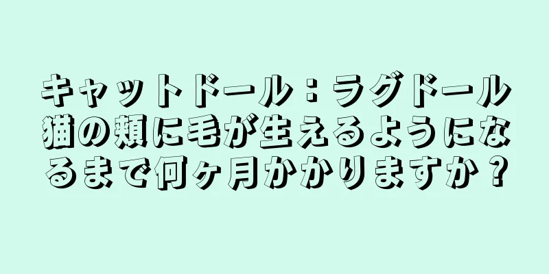 キャットドール：ラグドール猫の頬に毛が生えるようになるまで何ヶ月かかりますか？