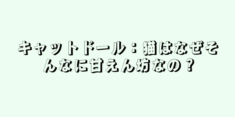 キャットドール：猫はなぜそんなに甘えん坊なの？