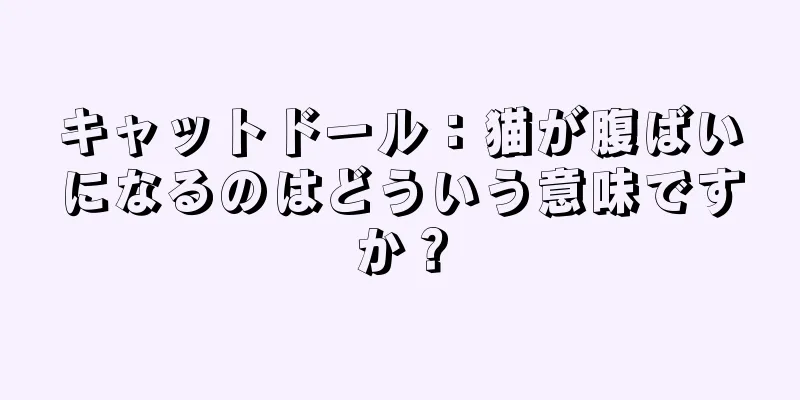 キャットドール：猫が腹ばいになるのはどういう意味ですか？