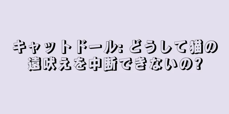 キャットドール: どうして猫の遠吠えを中断できないの?