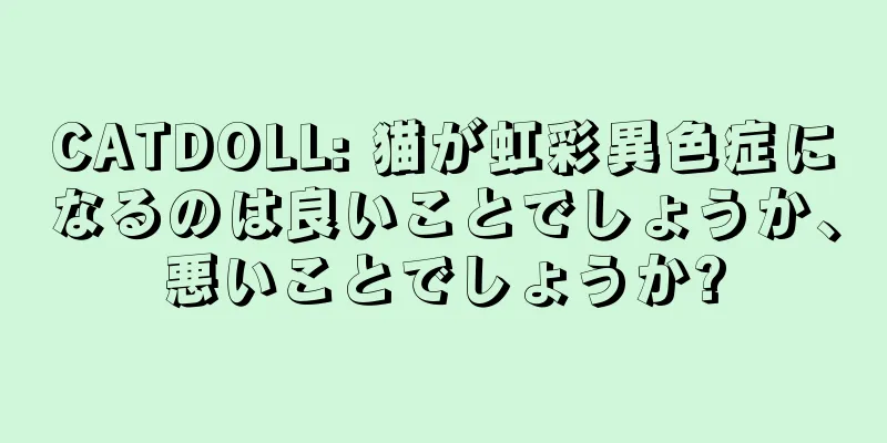 CATDOLL: 猫が虹彩異色症になるのは良いことでしょうか、悪いことでしょうか?