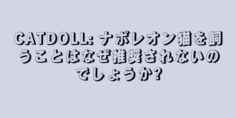 CATDOLL: ナポレオン猫を飼うことはなぜ推奨されないのでしょうか?