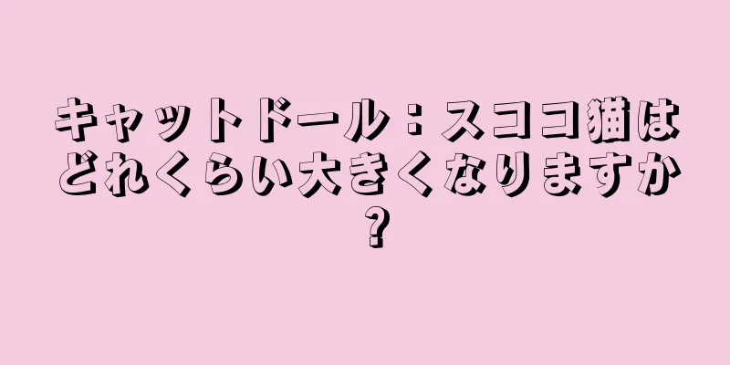 キャットドール：スココ猫はどれくらい大きくなりますか？