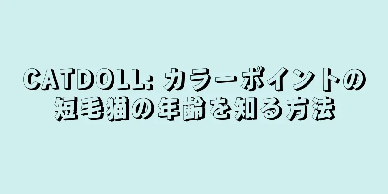 CATDOLL: カラーポイントの短毛猫の年齢を知る方法