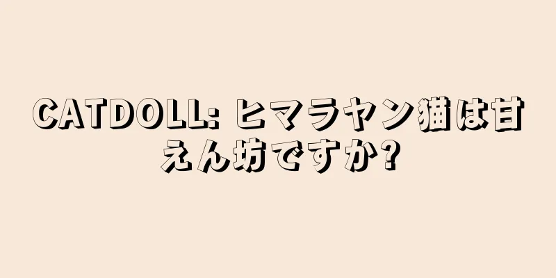 CATDOLL: ヒマラヤン猫は甘えん坊ですか?