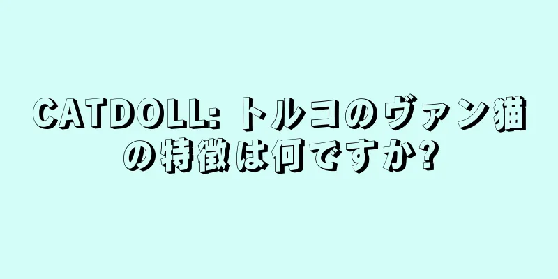 CATDOLL: トルコのヴァン猫の特徴は何ですか?