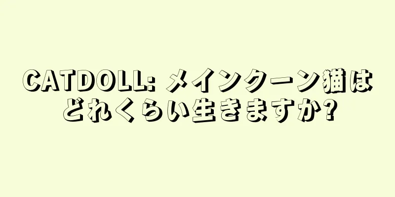 CATDOLL: メインクーン猫はどれくらい生きますか?