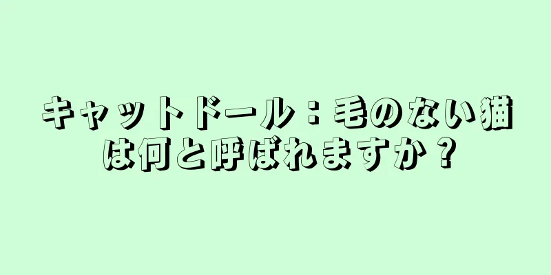キャットドール：毛のない猫は何と呼ばれますか？