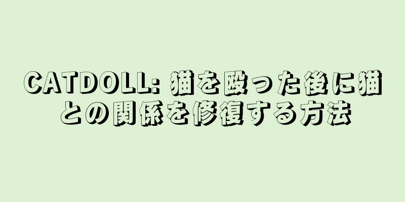 CATDOLL: 猫を殴った後に猫との関係を修復する方法