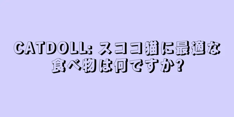 CATDOLL: スココ猫に最適な食べ物は何ですか?