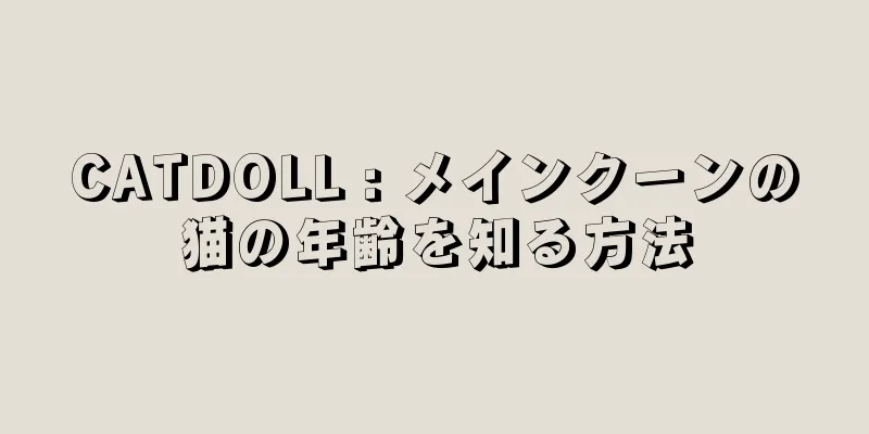 CATDOLL : メインクーンの猫の年齢を知る方法