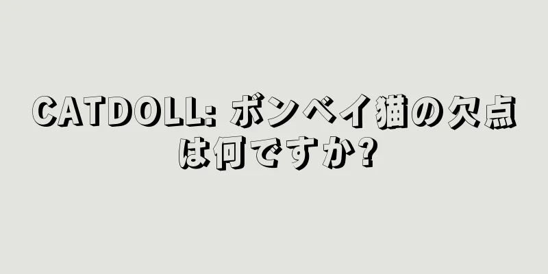 CATDOLL: ボンベイ猫の欠点は何ですか?